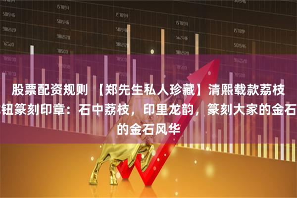 股票配资规则 【郑先生私人珍藏】清熙载款荔枝冻龙钮篆刻印章：石中荔枝，印里龙韵，篆刻大家的金石风华